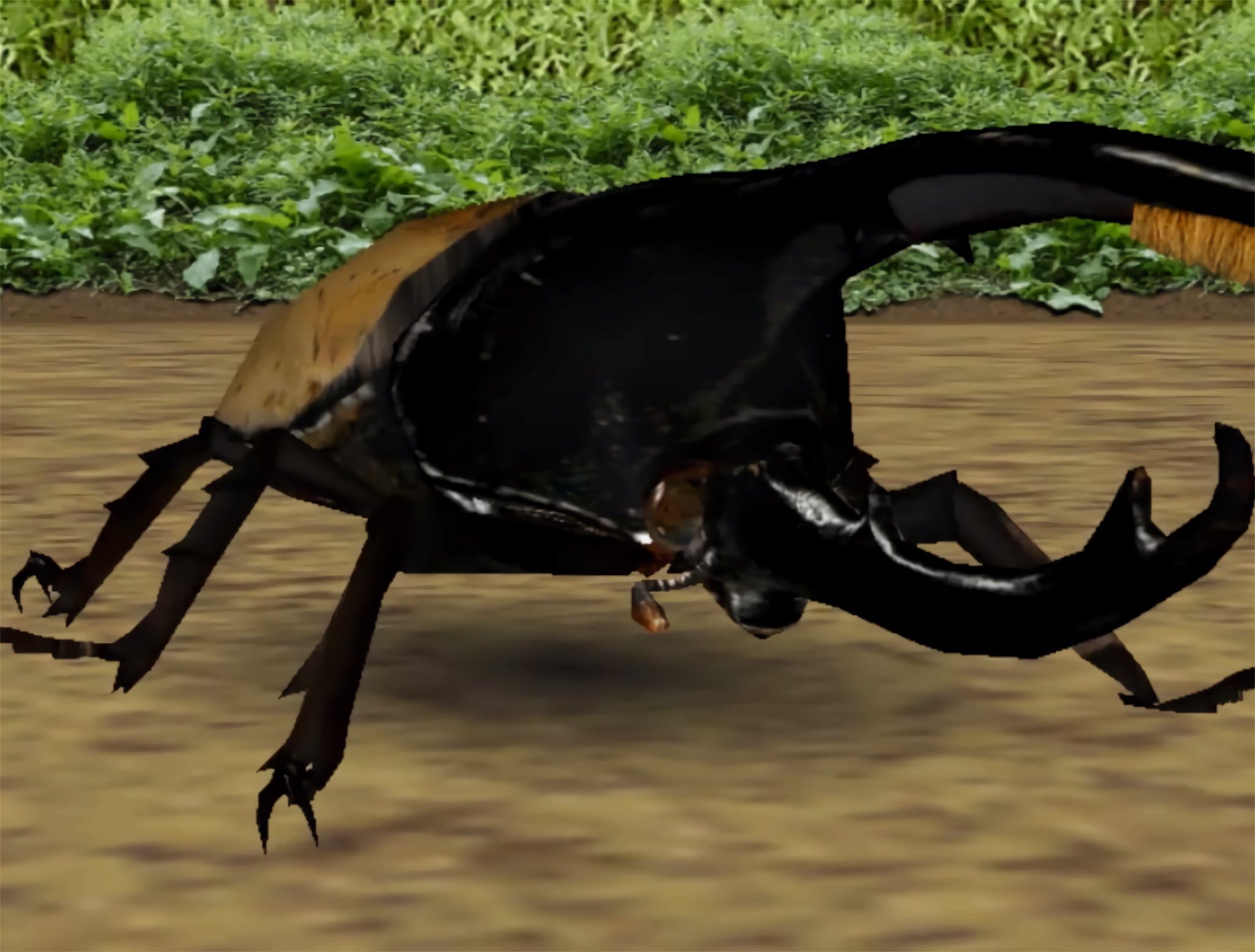 ムシキング　ヘルクレスオオカブト 5th ムシキング ヘルクレスオオカブト 5th