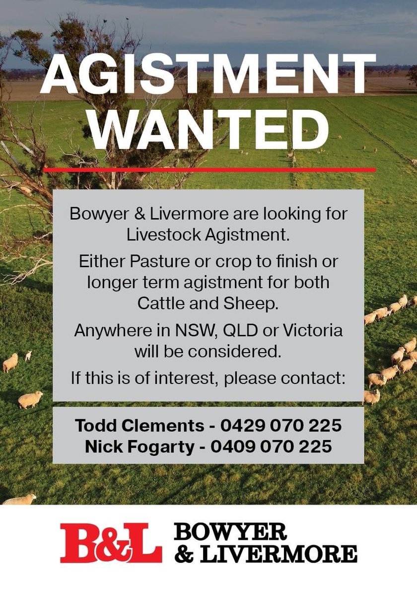 Bowyer & Livermore (@bowyerlivermore) on Twitter photo 