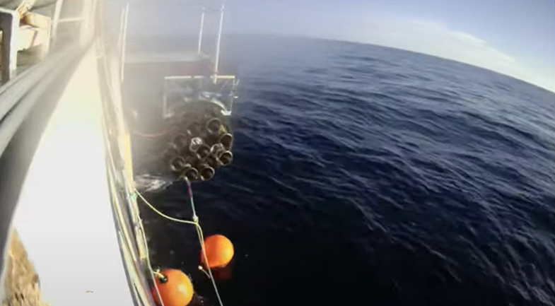 Rocket Lab tweet media