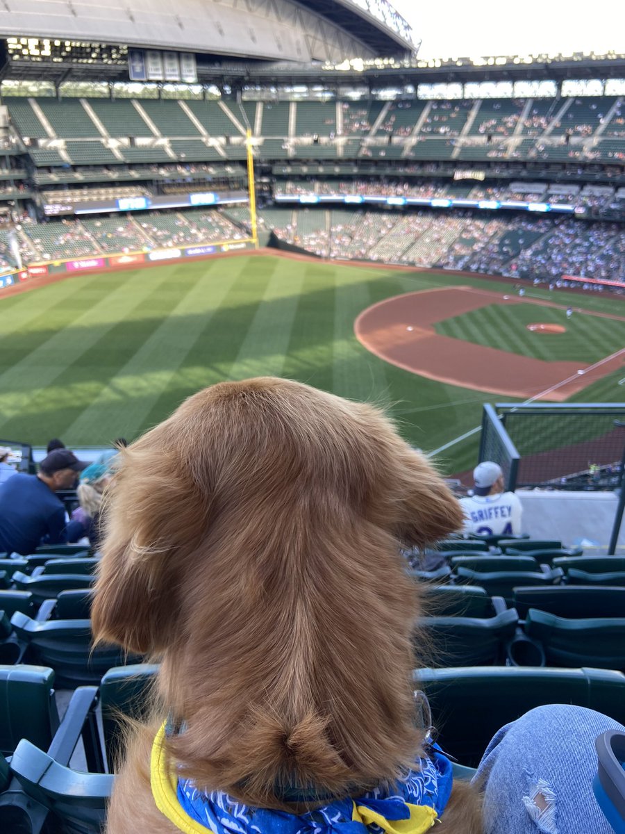 Kyleestudioso's tweet photo. @Mariners https://t.co/84tJbwtiZr