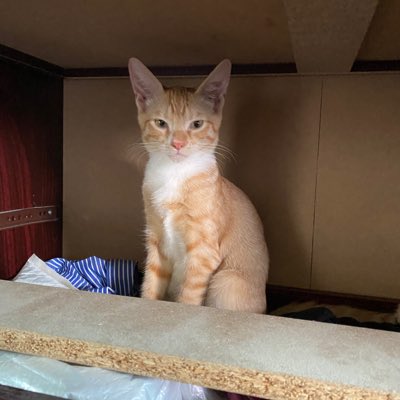 lorils01's tweet photo. #NewProfilePic https://t.co/iOITlZEvwV