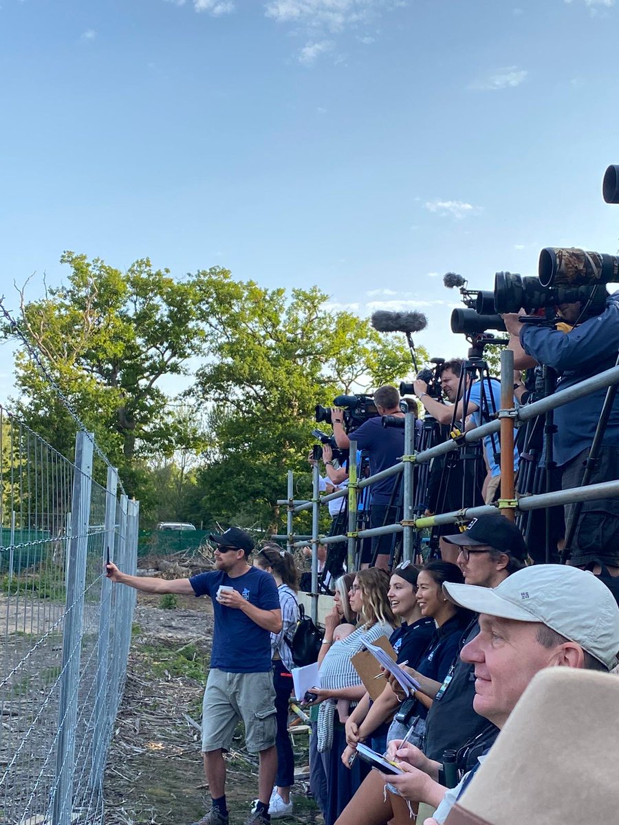 It’s been 1 year since we released the first three bison into the blean in front of the worlds press!   Keep your eyes on ⁦@BBCBreakfast⁩ for an update this morning to hear how it’s all going.  ⁦@WildwoodTrust⁩ ⁦@KentWildlife⁩ #wilderblean