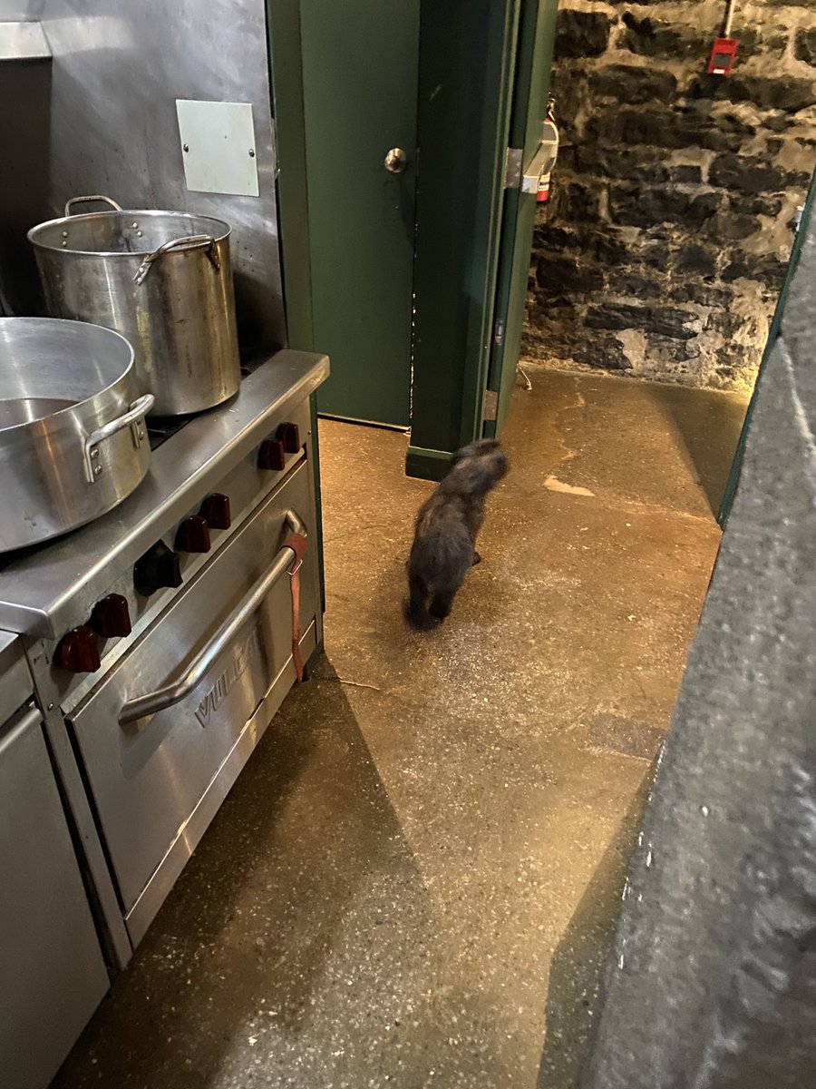 Cedar You tweet media