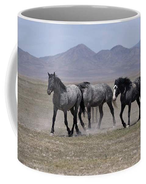 #Coffee with the boy's club! A band of bachelor brothers. Two sizes available.

Get it Here: fon-denton.pixels.com/featured/band-…

#WildHorses #WildHorse #Horses #CoffeeMug #BuyIntoArt #AYearForArt #TheArtDistrict #HorseLovers #Equine #GiftIdeas #Gifts #CoffeeLovers #Mugs #PhotographyIsArt