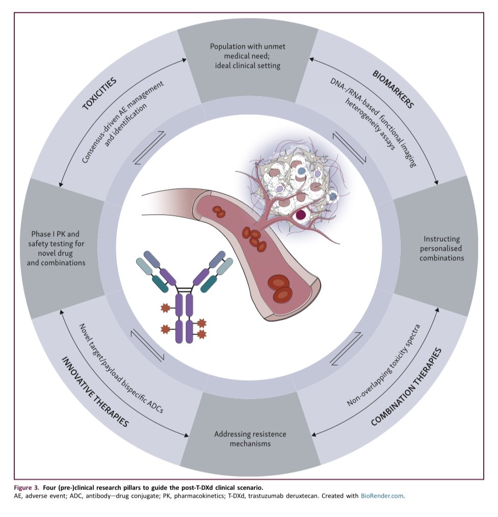 In breast oncology there is a pre-TDXd & a post-TDXd era, with the latter still at the dawn. What makes a tumor resistant to T-DXd? How to treat such tumor? This open access @ESMO_Open article by @GabrAnton reviews the management of HER2+ MBC beyond T-DXd. esmoopen.com/article/S2059-…