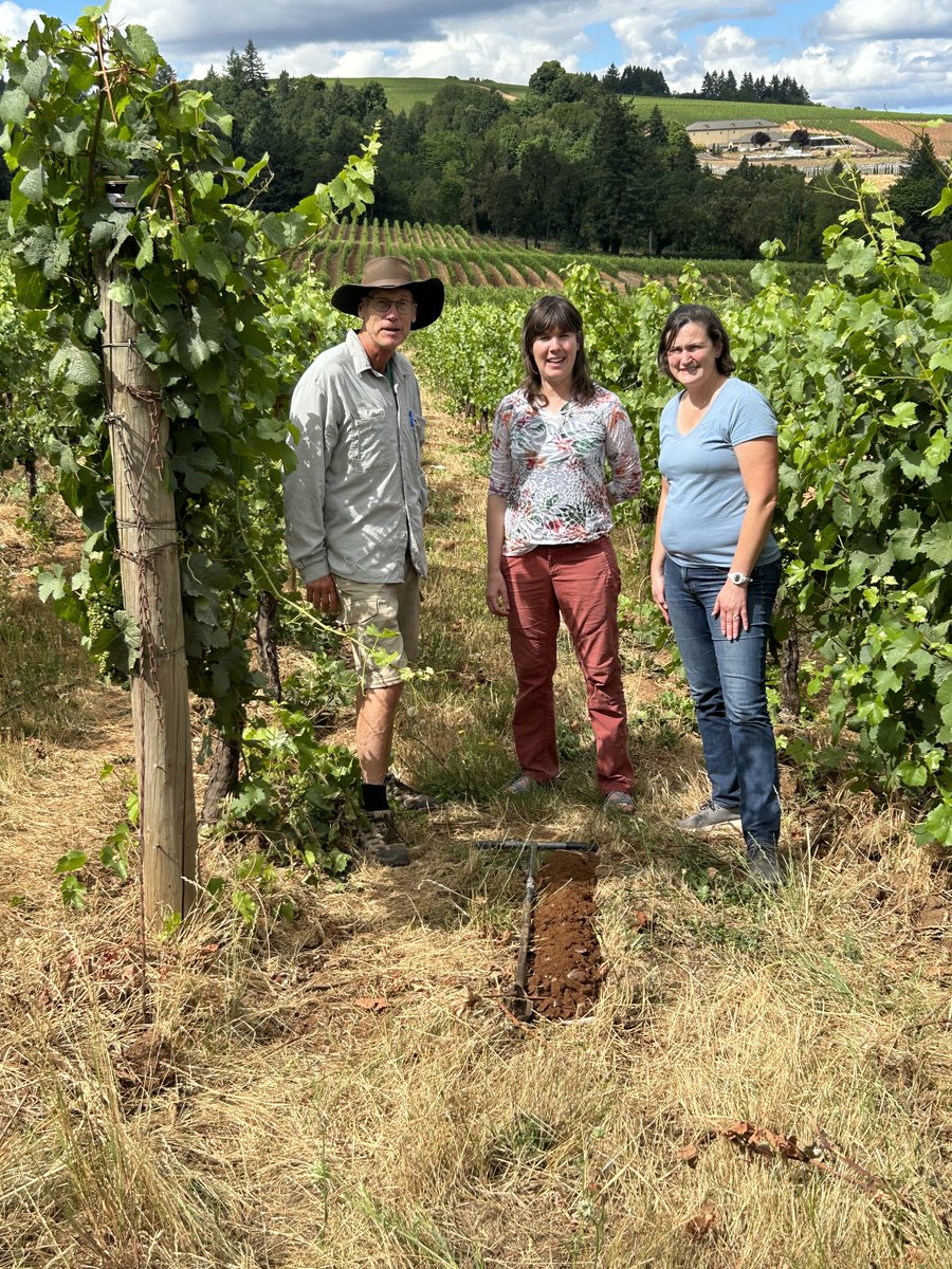 Soil Safari John bags his 47th state soil - the Jory soil in Oregon. Guides are Amber Moore of Oregon State University soil fertility specialist and Robin Howell, winemaker at Sokol Blosser winery.