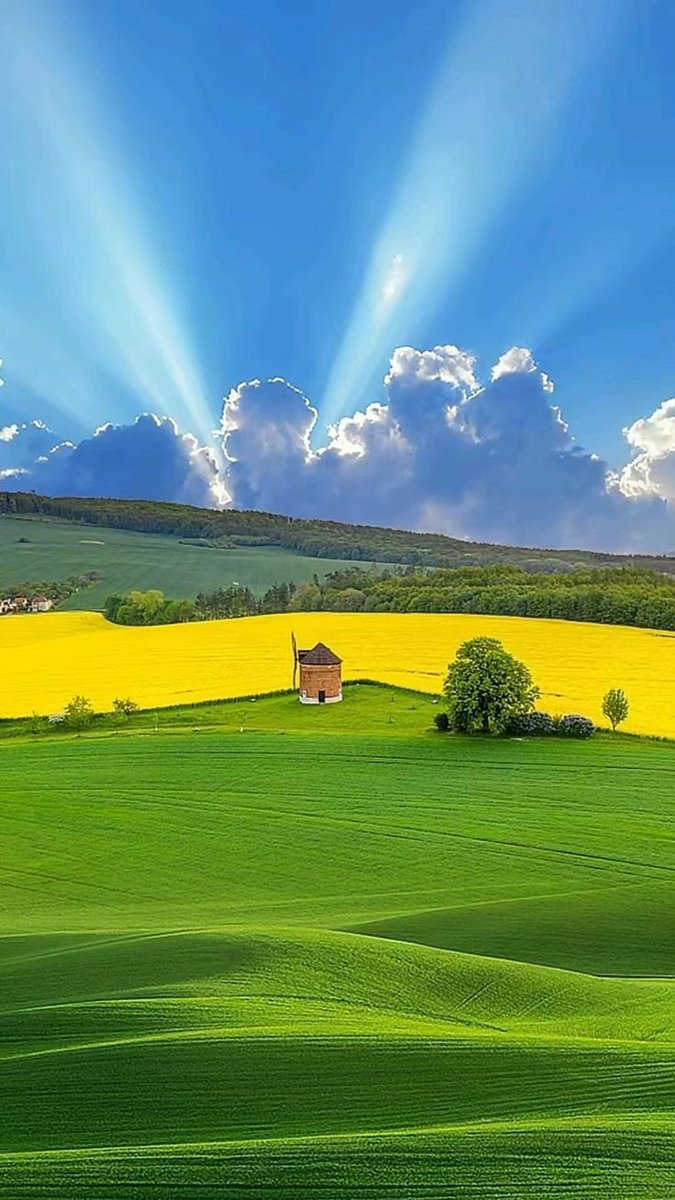 𖨇㋡𝙈𝙄𝘾𝙃𝘼𖦎じ𖦦乃 tweet media