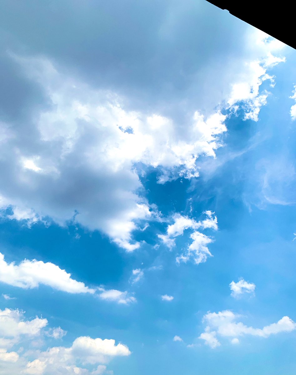 福圓美里 tweet media