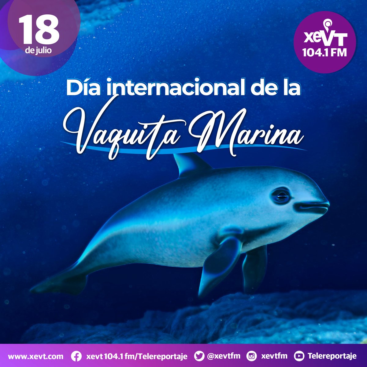 #18DeJulio  | Día Internacional de la Vaquita Marina

#LasEfemérides📆 #SeñalQueUne🔗 #XEVT 🖲️