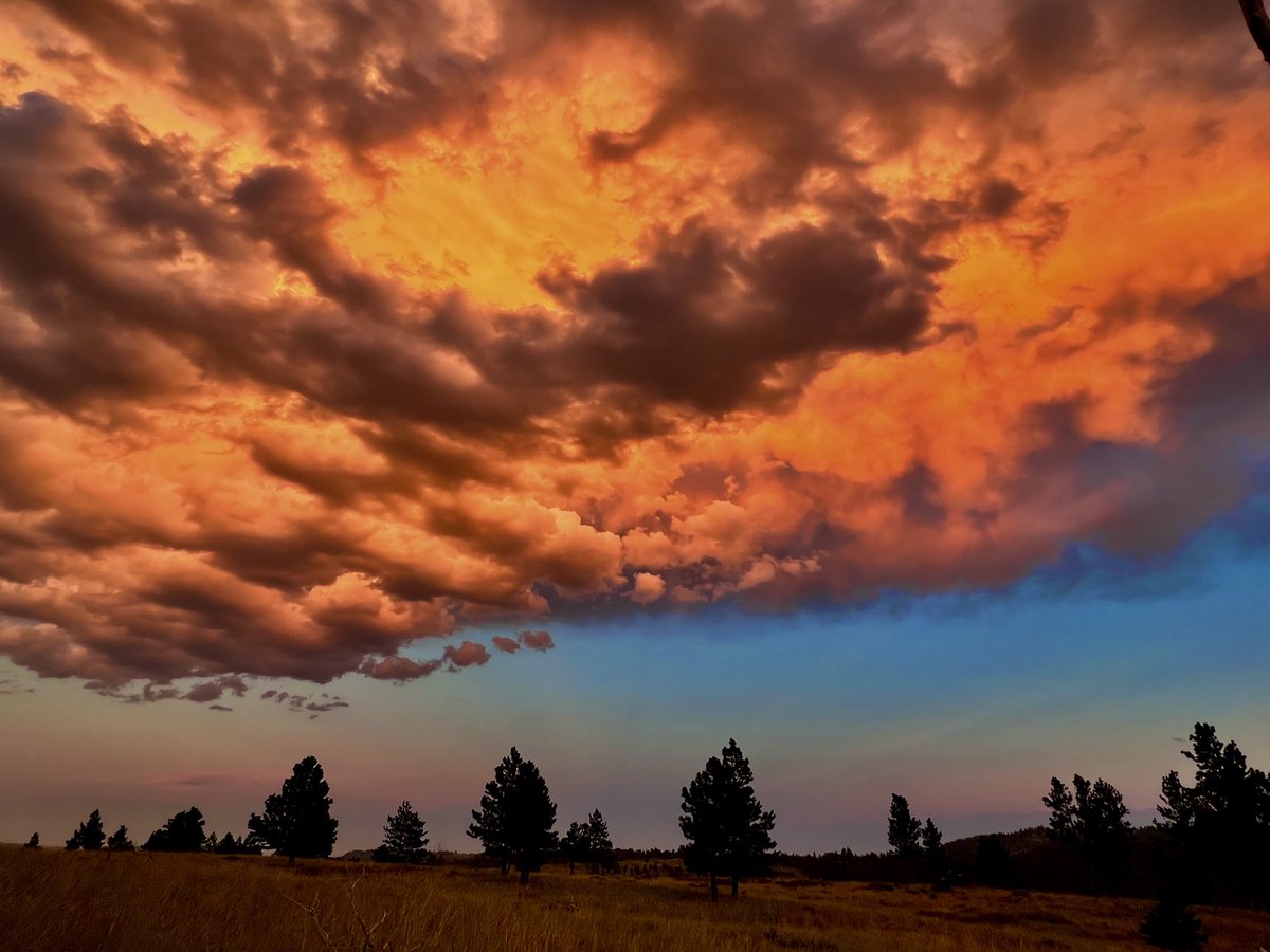 Becky Beck tweet media