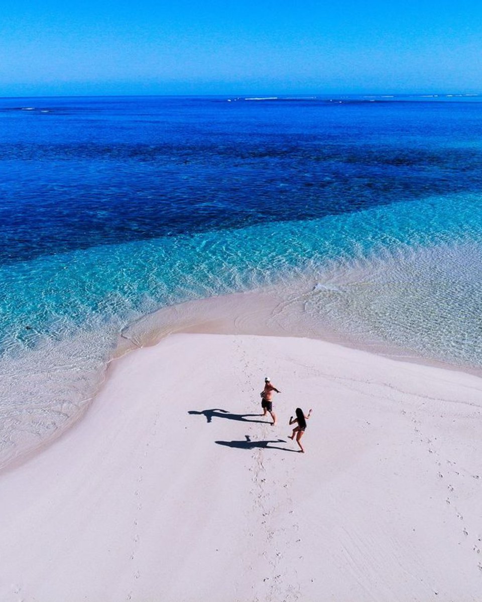 Go_Australia's tweet photo. 🏖️今日は#ビーチの日🏖️

今年の「世界のベストビーチ50」に選ばれたオーストラリアのビーチをチェックして👀👇

1位🏝️ラッキーベイ、西オーストラリア州
4位🏝️ホワイトヘブン、クイーンズランド州
17位🏝️ターコイズベイ、西オーストラリア州
28位🏝️リトルヘルファイアベイ、西オーストラリア州 https://t.co/nViWrBk0wi