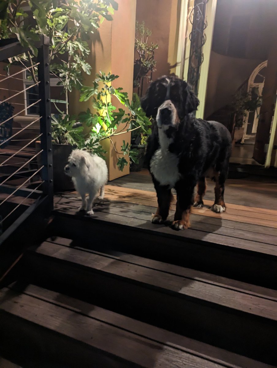 Matthew Rorie on Twitter: