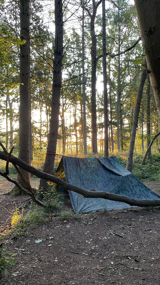 Up bright and early with the morning sun with 8 amazing students who have managed to sleep under their shelters! @BushcraftOnline
