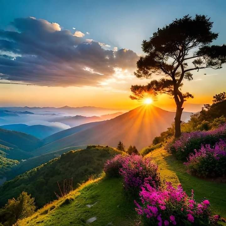 ☀💜Good morning!💜☀