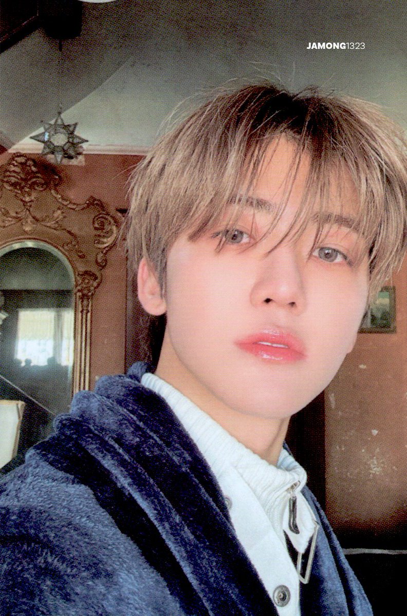 자몽 tweet media