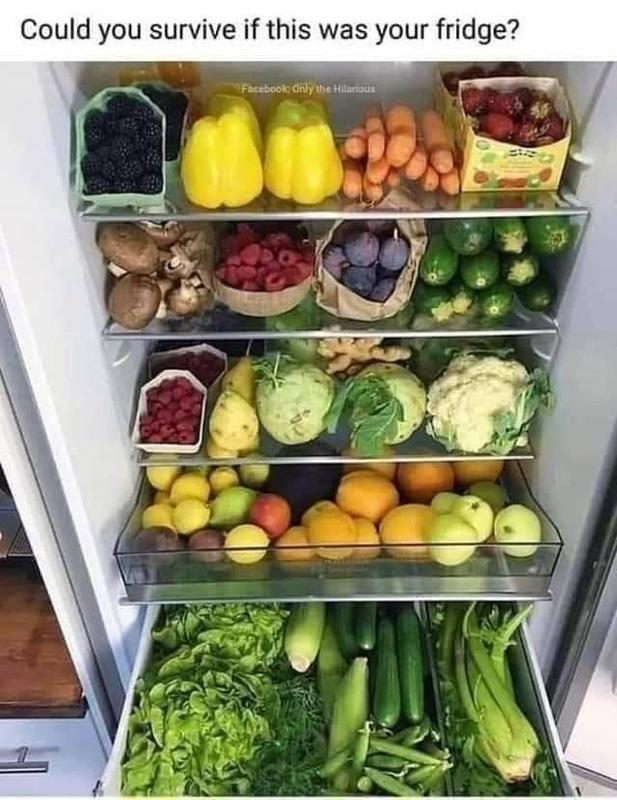 OrganicLiveFood's tweet photo. Could you?  🥕    🍉  🍍     🍊     🍎   🥑   🥥 https://t.co/JhYY6Q6IDQ