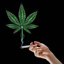 todd_harrison's tweet photo. Philip Morris acquiring Cannabis inhaler developer Syqe Medical for up to $650 million

The Israeli company’s main product is a metered-dose inhaler for pain reduction treatment using medical cannabis

#Cannabis $MO 

https://t.co/RX8TpypBxJ https://t.co/AYNoLhYTM2