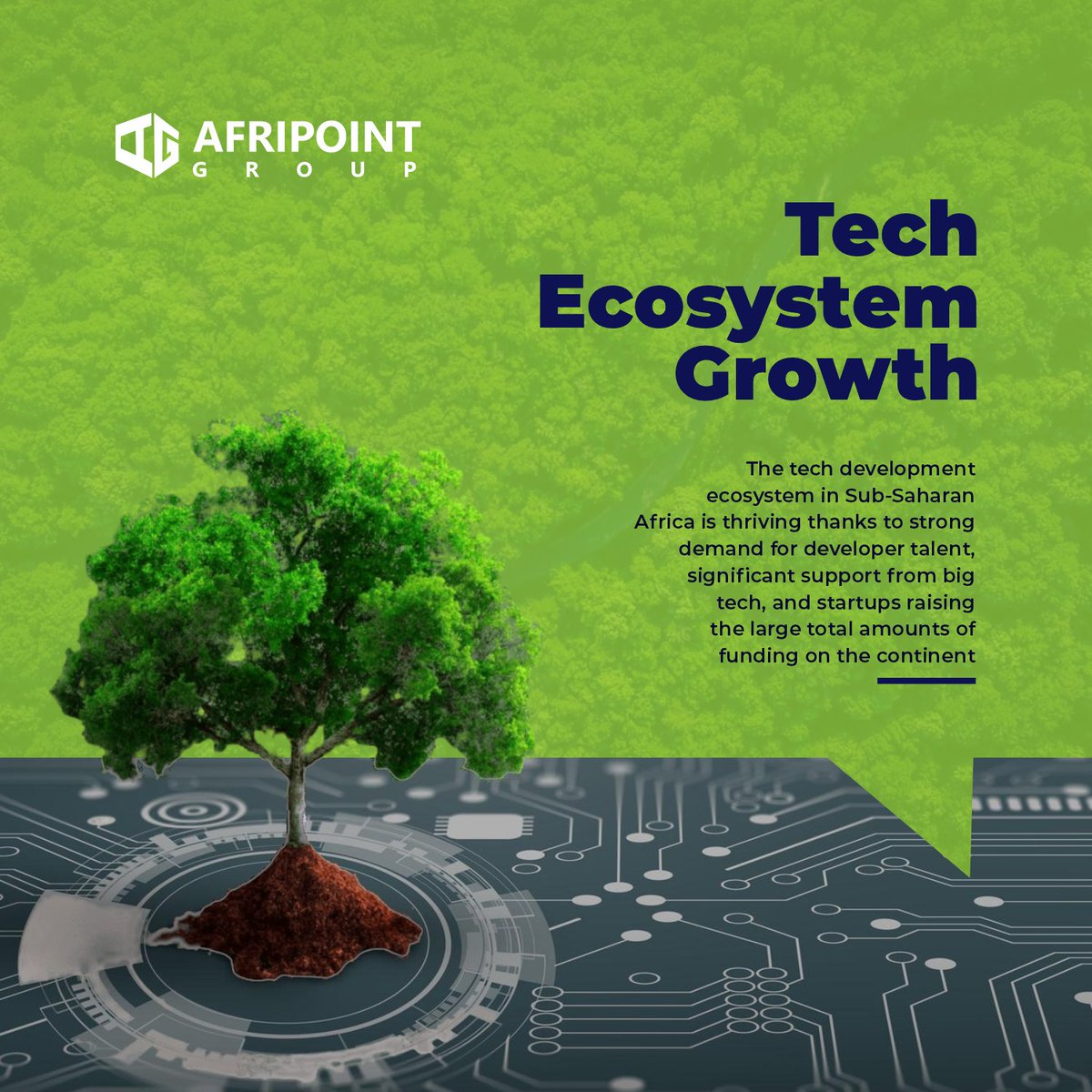 AFRIPOINT GROUP tweet media