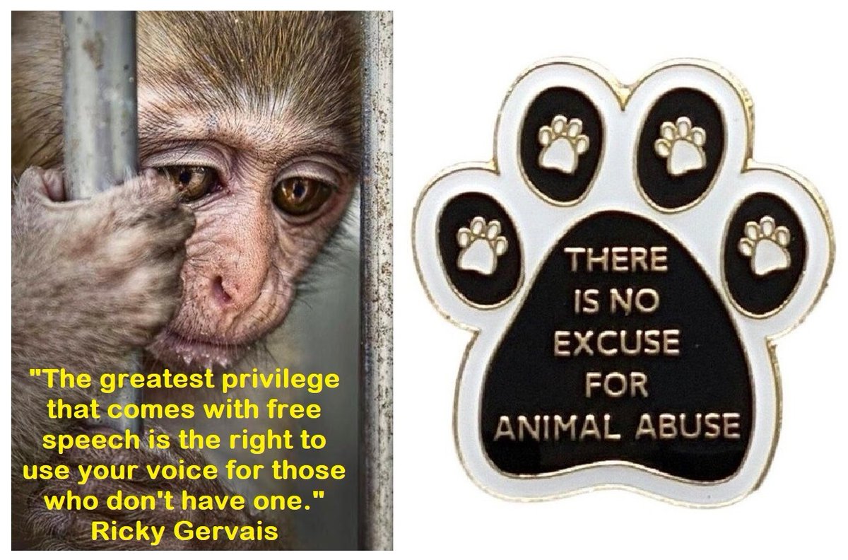 "The greatest privilege that comes with freedom of speech is the right to use your voice for those who don't have one" ~ @RickyGervais.

Use YOUR voice for animals with a There Is No Excuse For Animal Abuse badge from protect-all-wildlife.ecwid.com/shared-product…….