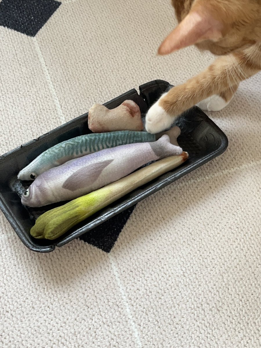 매운탕 인형... 🐠