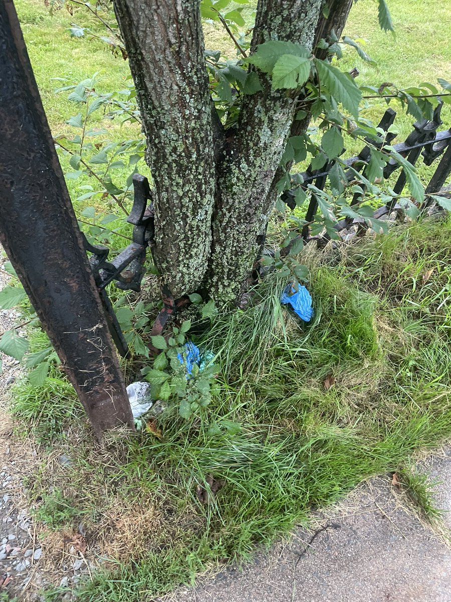 leftyfish's tweet photo. To the person(s) leaving your bags of dog poop in semi hidden piles by the cemetery on Park Ave: I’m gonna eventually find out who you are and then gather all of them up and put them on your front step. And then I’ll continue to do so with all my dogs poop bags until you clue in. https://t.co/EaH7tYV199