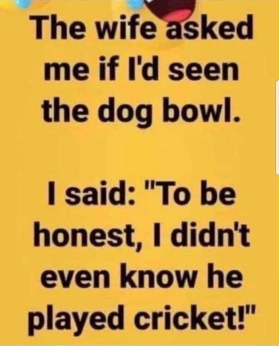 Tina 🐾🏴󠁧󠁢󠁥󠁮󠁧󠁿🇮🇹 on Twitter "Morning tuesdaymotivations was I just cut