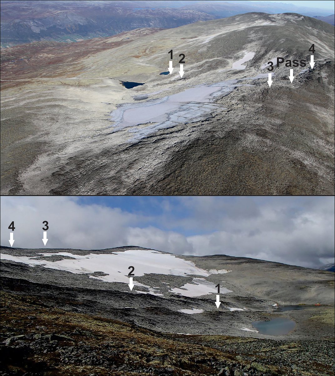 Robin Monotti tweet media