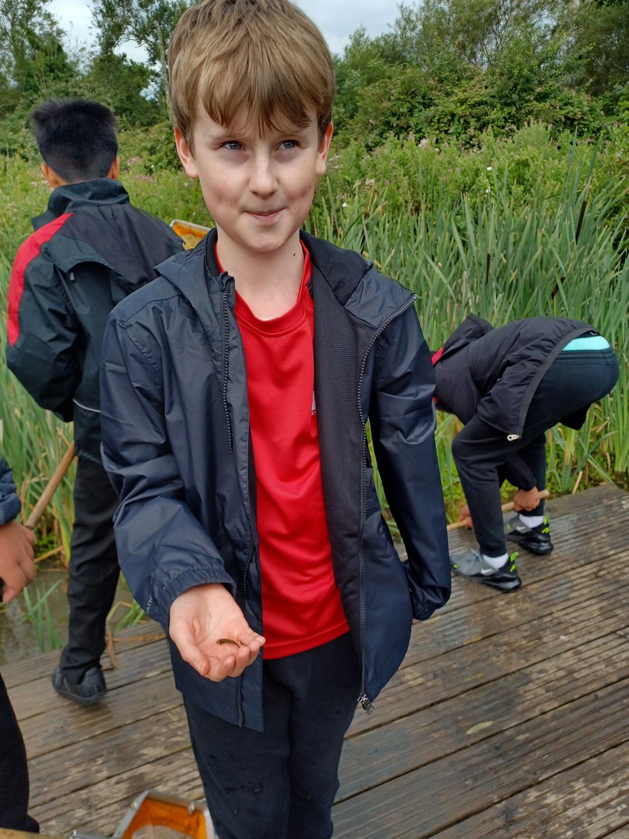 Mrs Toye tweet media