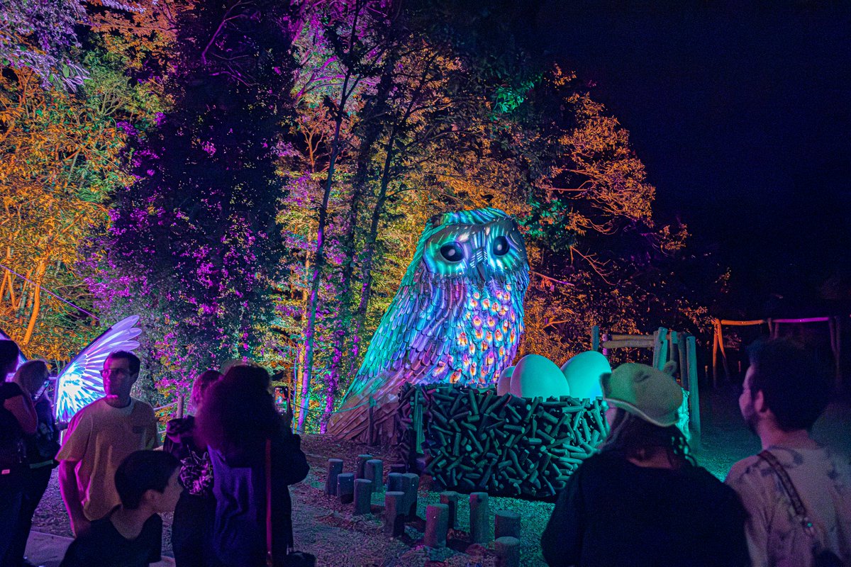 La déambulation nocturne Terra Nocta est ouverte depuis le 14 juillet ! 

Une nouvelle aventure sous les étoiles, ça vous tente ? 

#terranocta #nouveauté #parc #spectacle #lumiere