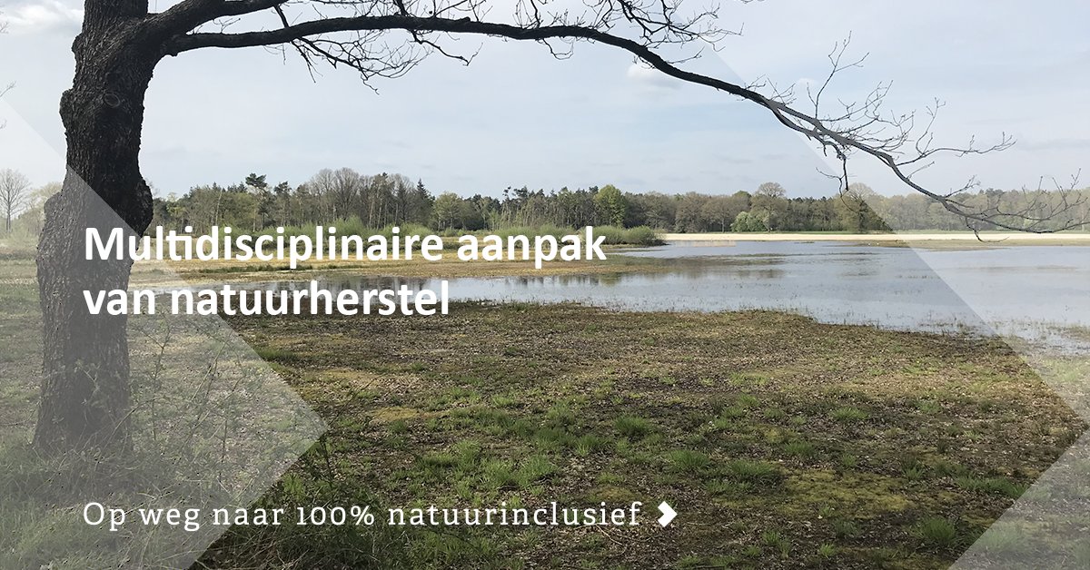 In het Natura 2000-gebied Stelkampsveld werden de leefomstandigheden voor zeldzame plant- en diersoorten aangetast. Natuurherstel was nodig. Lees over onze multidisciplinaire aanpak: eelerwoude.nl/project/natuur…

#Eelerwoude #opwegnaar #100procent #natuurinclusief #natuurherstel