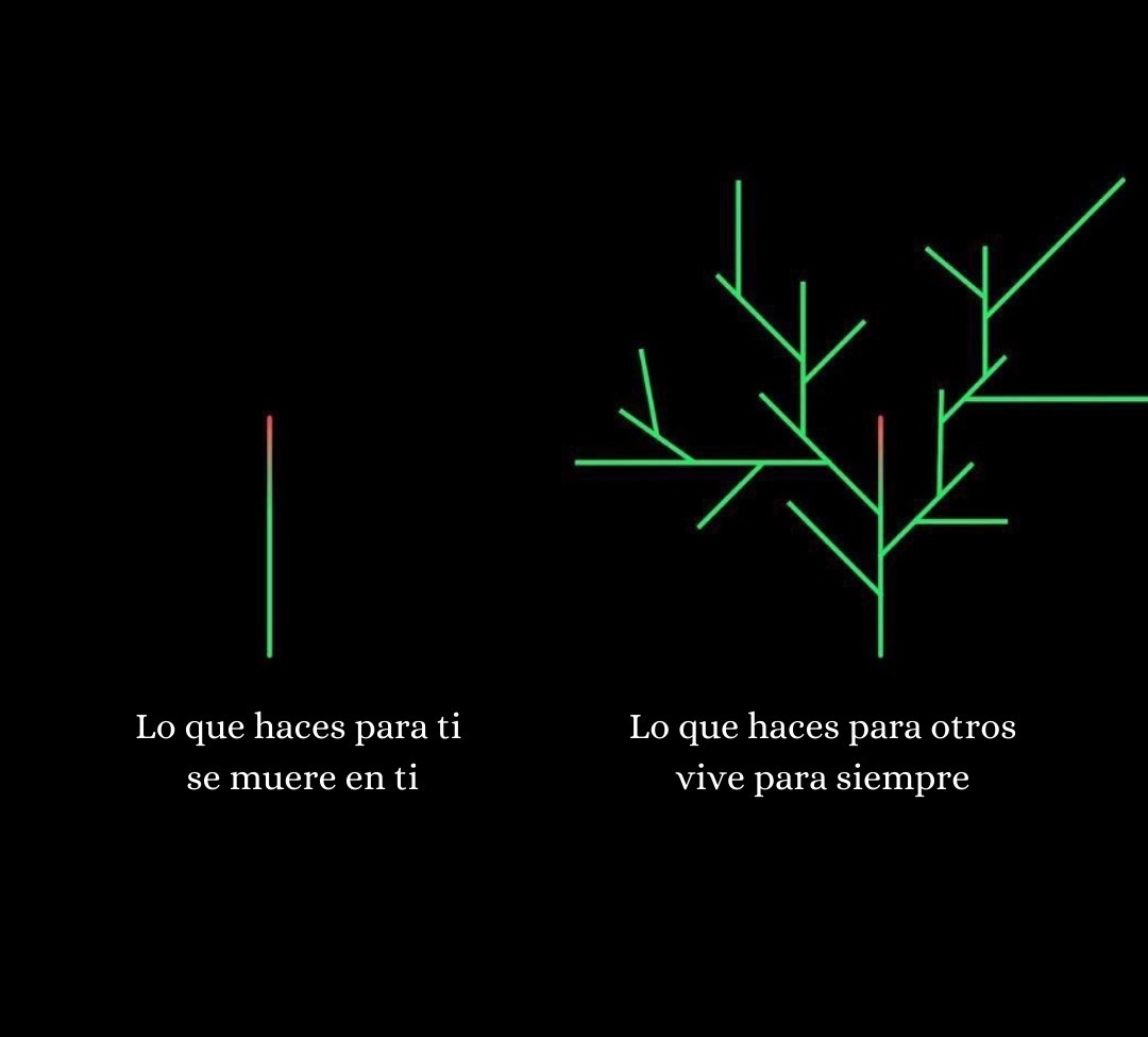 autodisciplinas's tweet photo. 5. https://t.co/Y7hrdq98Lj