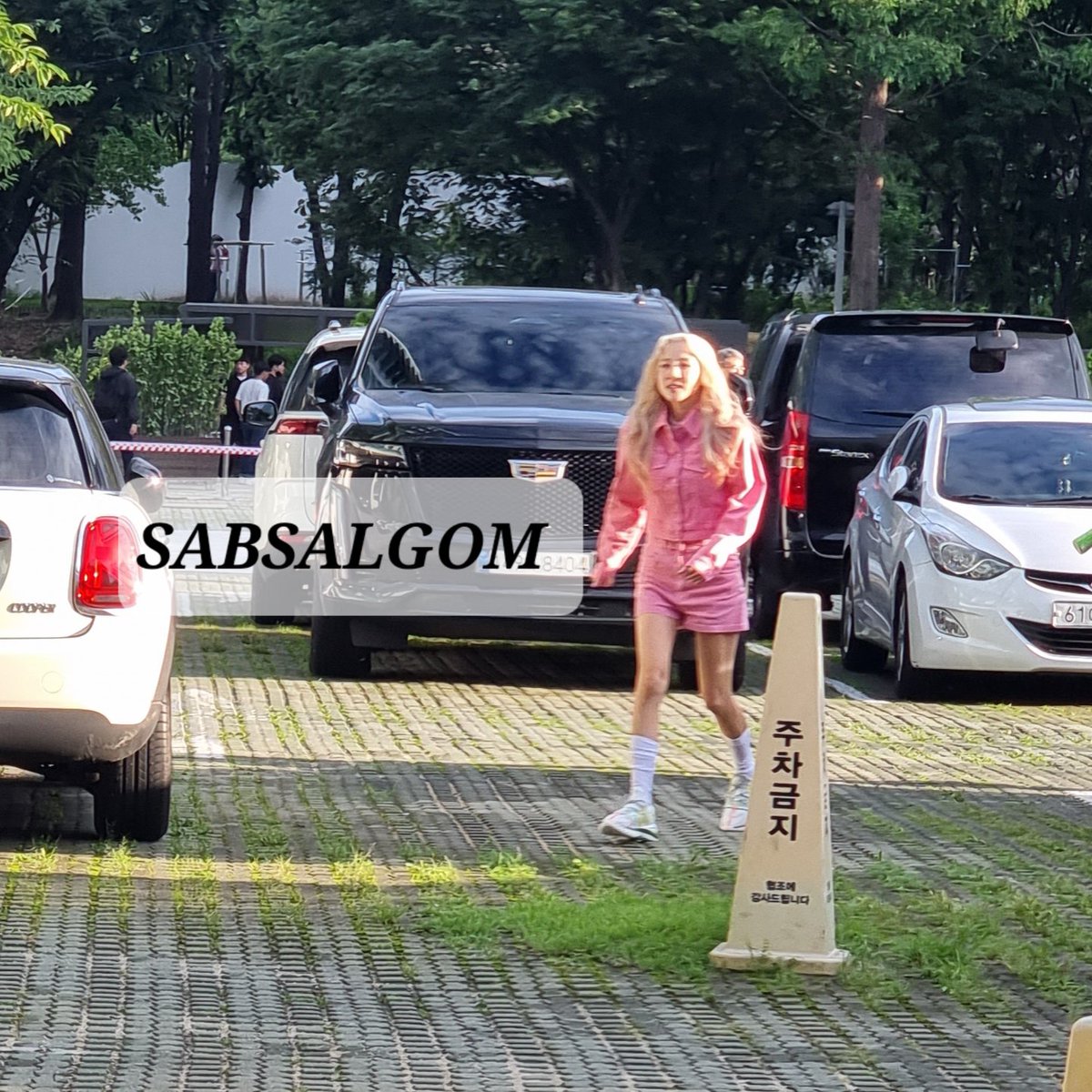 삽살곰 tweet media