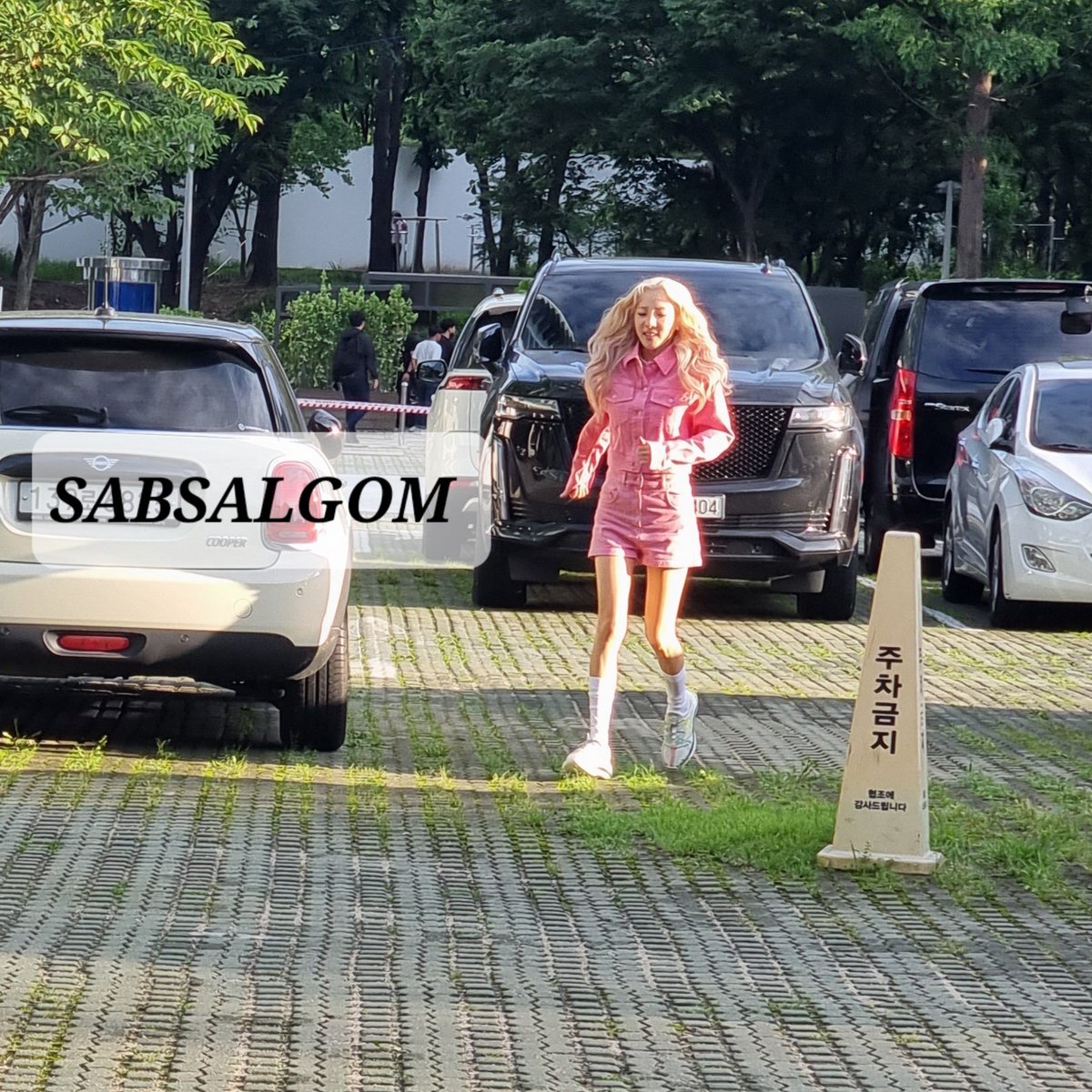 삽살곰 tweet media