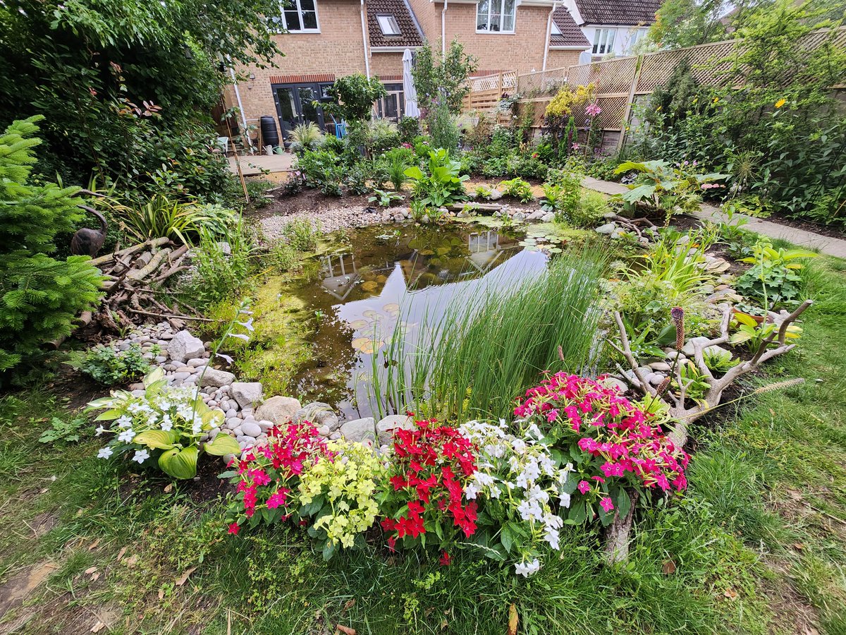 markbarton's tweet image. After following @_JoelAshton method for building a wildlife pond this is what mine looks like after 1 year.  The well ended up being about 1m deep in the end. #wildlife