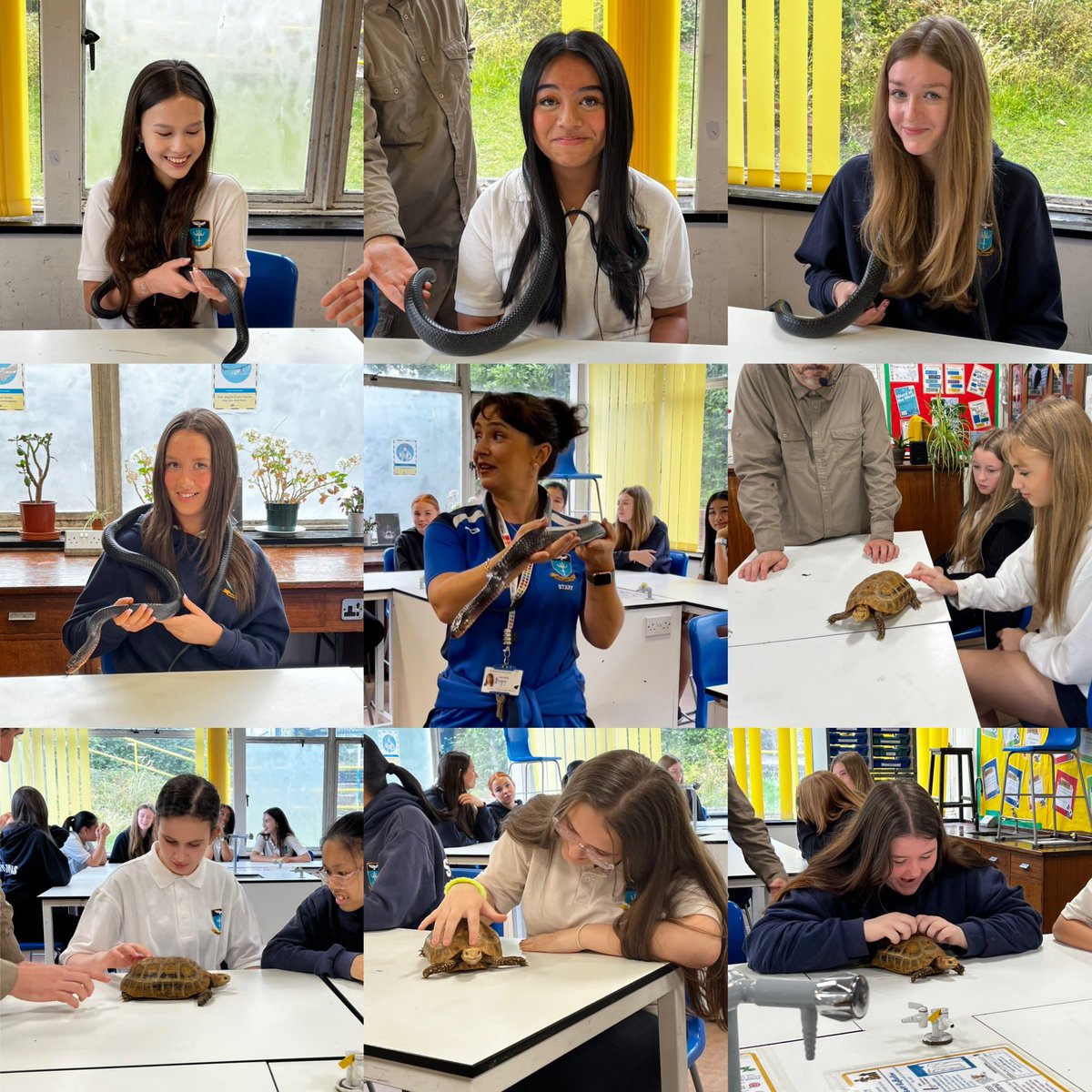 St Alban's Science tweet media