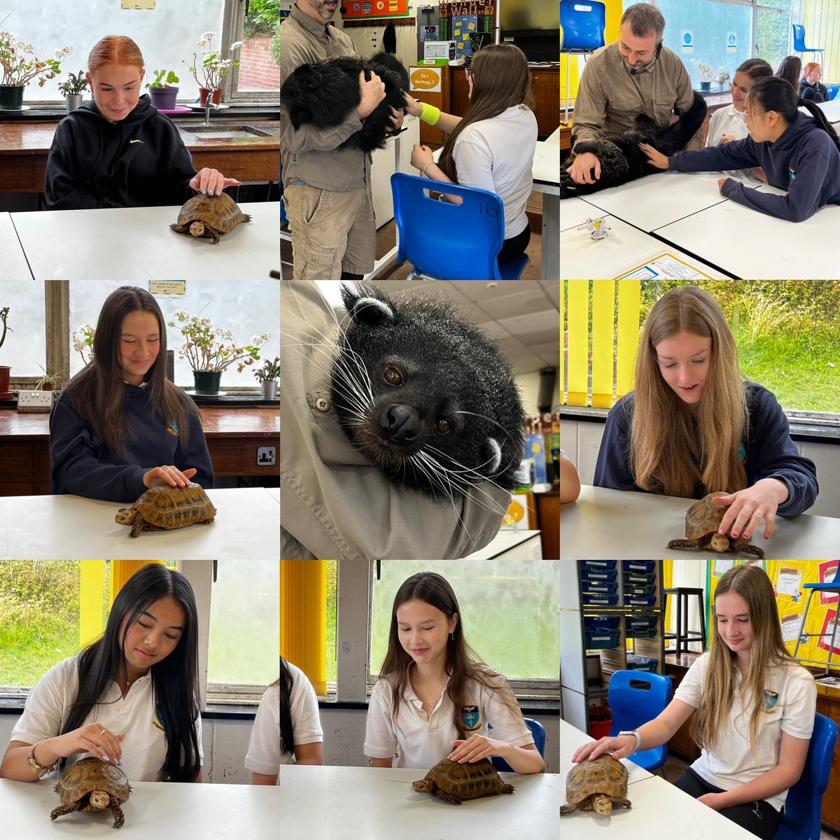 St Alban's Science tweet media