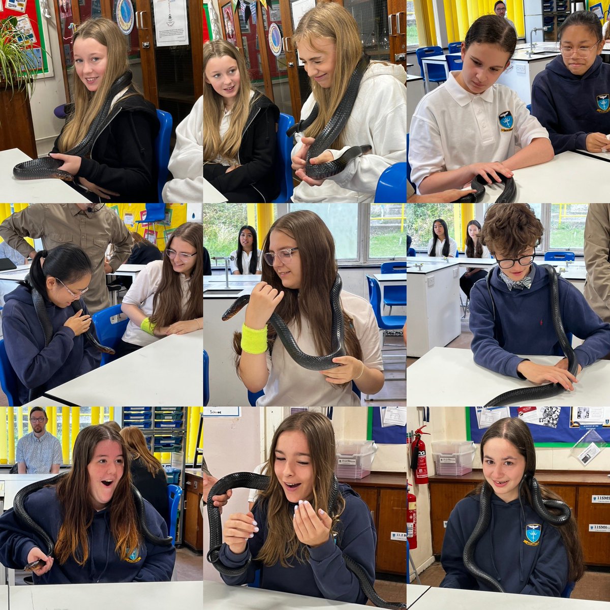 St Alban's Science tweet media