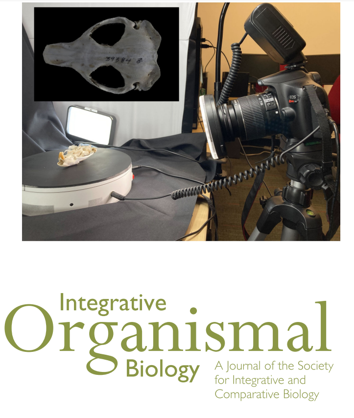 in issue!
An Open-Source #Photogrammetry Workflow for Reconstructing #3D Models
by Zhang, &amp; Maga
 doi.org/10.1093/iob/ob…

"Acquiring accurate 3D #biological models efficiently and economically is important for #morphological data collection and analysis in #organismal #biology."