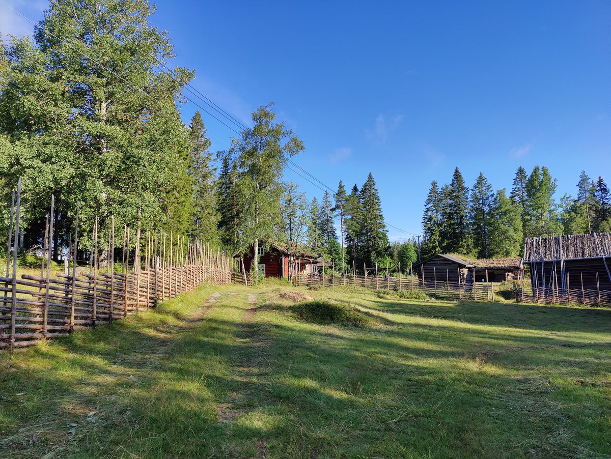 sticklingens's tweet photo. Godmorgon från Finngammelgården, här blir det stickträff idag! 🙂🧶
#Skattlösberg #Finngammelgården #Dalarna #DanAnderssonLand #Stickning #Stickträff #Finnmarken https://t.co/tdnMKNI1hz