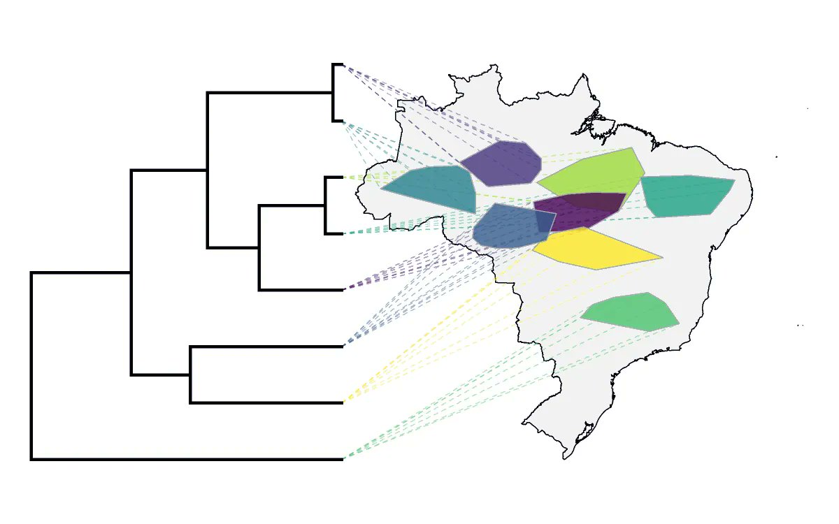 RosanaFerrero's tweet image. 😱 ¡Cómo no conocía esta herramienta! 🤯
Usar #phytools de #RStats para proyectar una filogenia en un mapa en el que las distribuciones de especies se muestran como polígonos
by @phytools_liam 
buff.ly/44GDtx4 
#dataviz #biology #datascience #analytics #stats #programming
