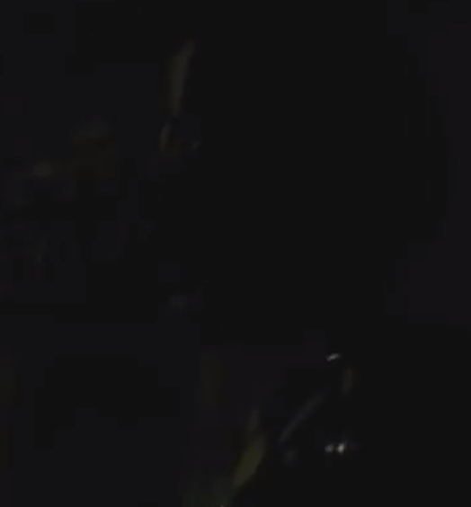 PureKasu's tweet image. I should be banned but im not