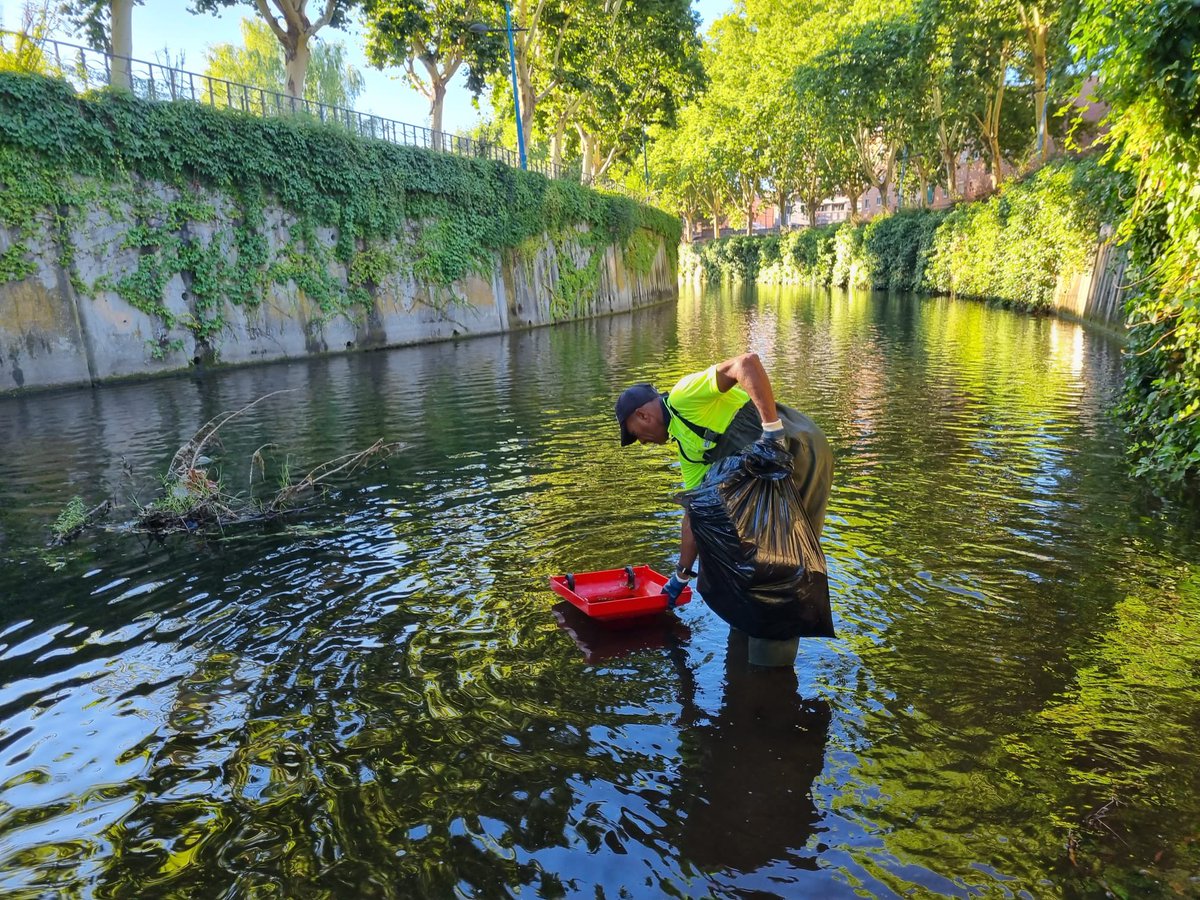 MedioAmbienteCV's tweet photo. 🌿 Limpieza del Río Guadarrama: retiramos 2.500 kg de residuos y vegetación del río

✅ Con esta actuación se mantiene la limpieza, se retiran elementos que pueden provocar daños o inundaciones, evitamos la proliferación de insectos y roedores y prevenimos los malos olores https://t.co/oY3t3kXaCp