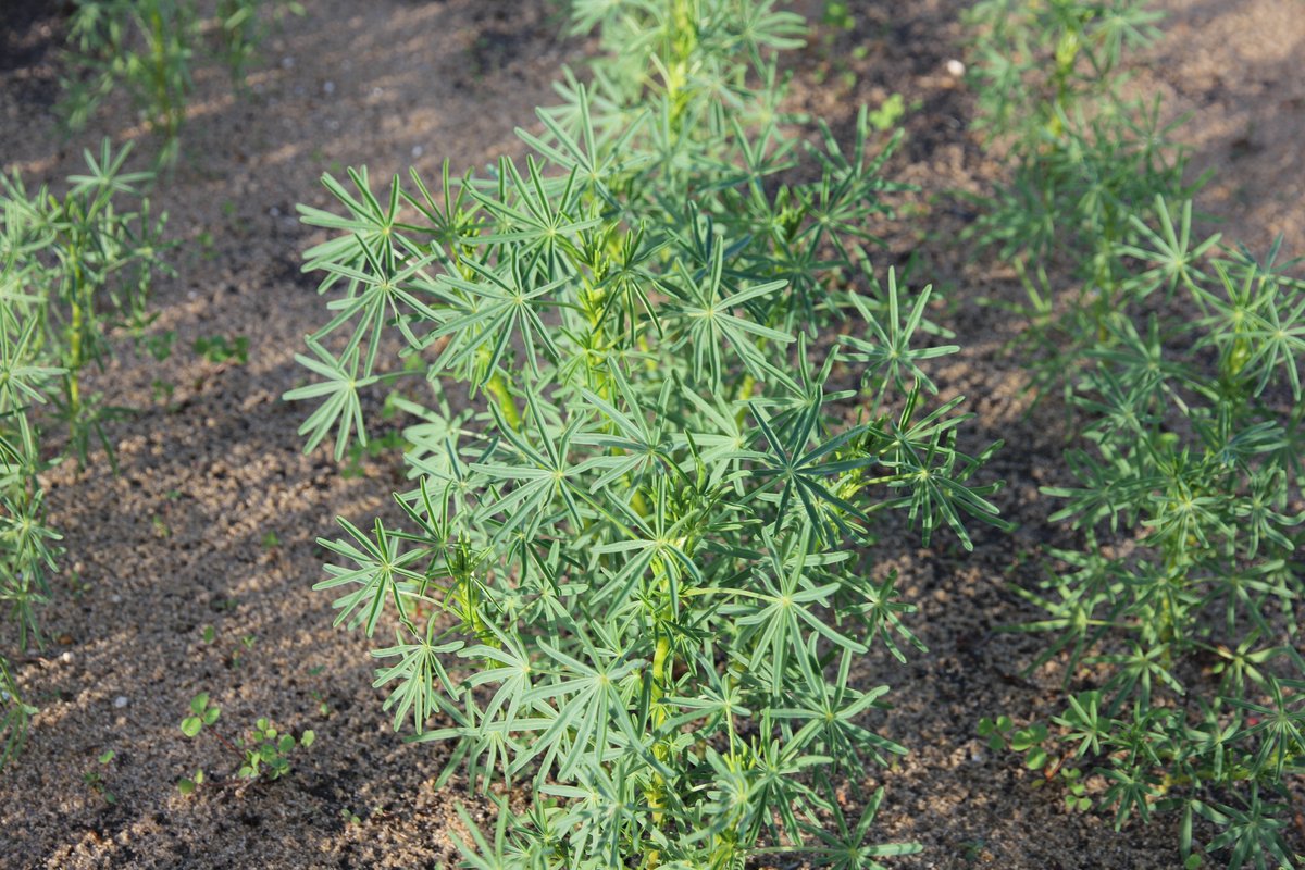 Dr. Beth Penrose tweet media