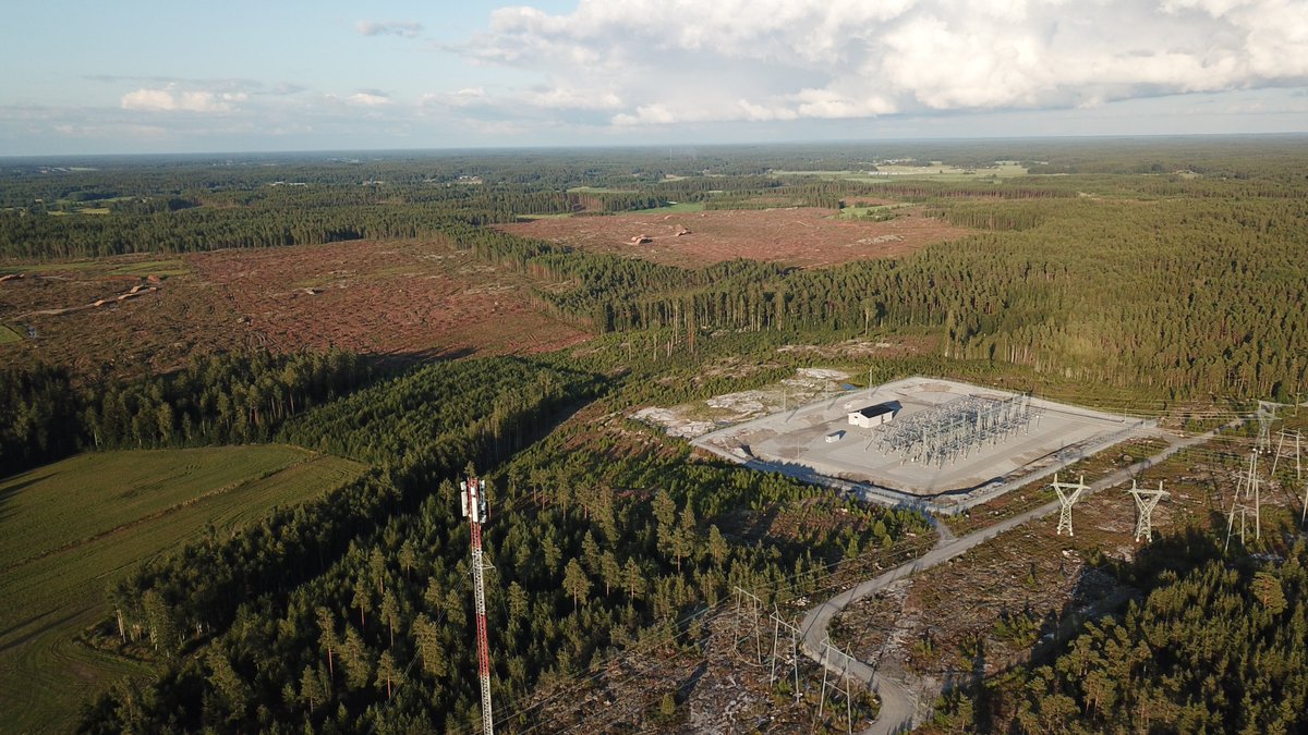 ujalka's tweet photo. Metsää kaadettu #aurinkovoimala tieltä 300 ha. Kolme seuramme #suunnistuskartta'a arkistoon. #aurinkovoima #metsä #avohakkuu #luonto #aurinkoenergia #kalanti #uusikaupunki https://t.co/v3DBmptaqn