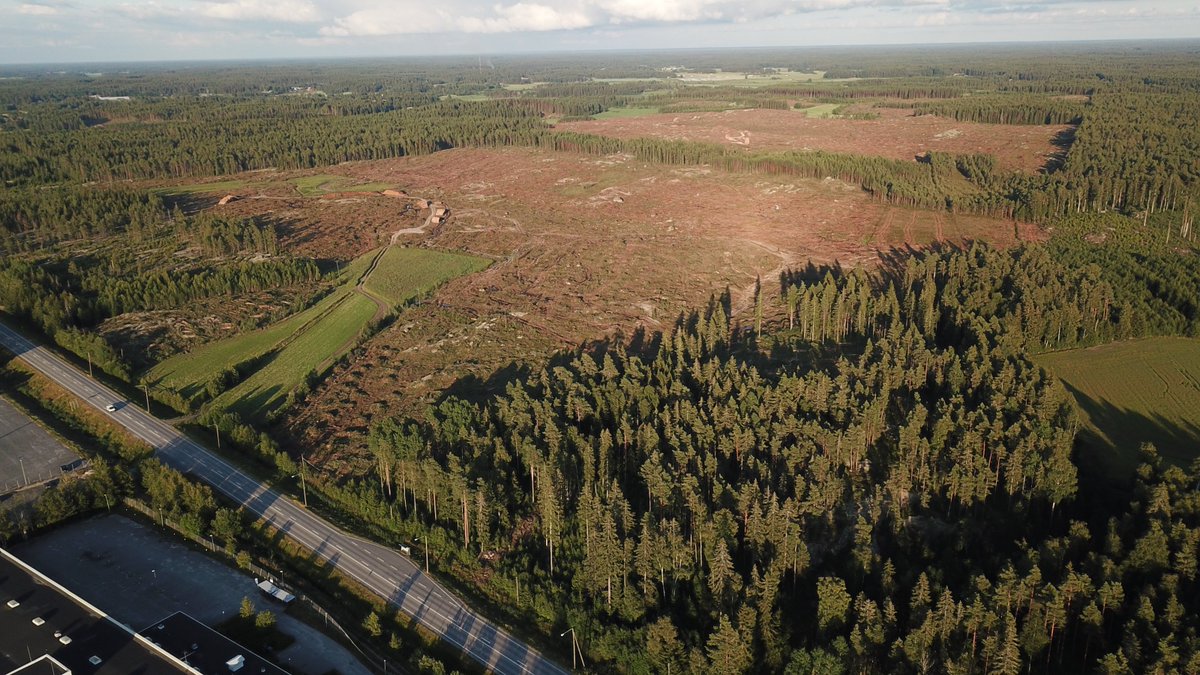 ujalka's tweet photo. Metsää kaadettu #aurinkovoimala tieltä 300 ha. Kolme seuramme #suunnistuskartta'a arkistoon. #aurinkovoima #metsä #avohakkuu #luonto #aurinkoenergia #kalanti #uusikaupunki https://t.co/v3DBmptaqn