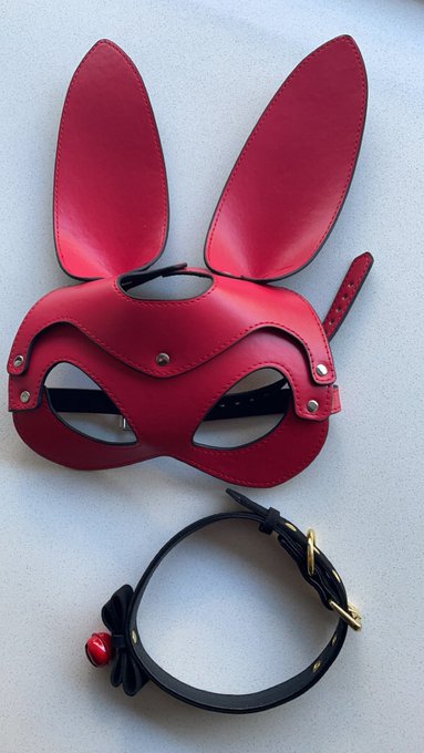New mask and collar, feeling hot already 🔥🔥 https://t.co/2VrrUqbJLF<a href="/tag/x"class="tags"><span>#x</span></a><a href="/tag/twitterx"class="tags"><span>#twitterx</span></a><a href="/tag/thex"class="tags"><span>#thex</span></a>