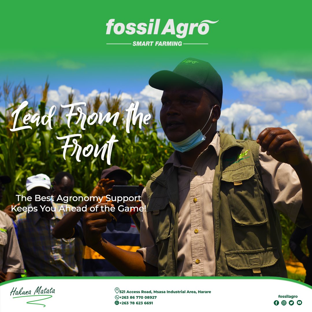 Our Expert Agronomy Team keeps you Ahead of the Game!

Tapiwa (Mash Central) - 0712079023
Dionne (Mash East) - 0712079044
Herbert (Manicaland &amp; Masvingo) - 0774951090
Ngoni (Mash West)- 0773217129
Terence (Midlands &amp; Matabeleland)- 0712859063

#FossilAgro #Smartfarming