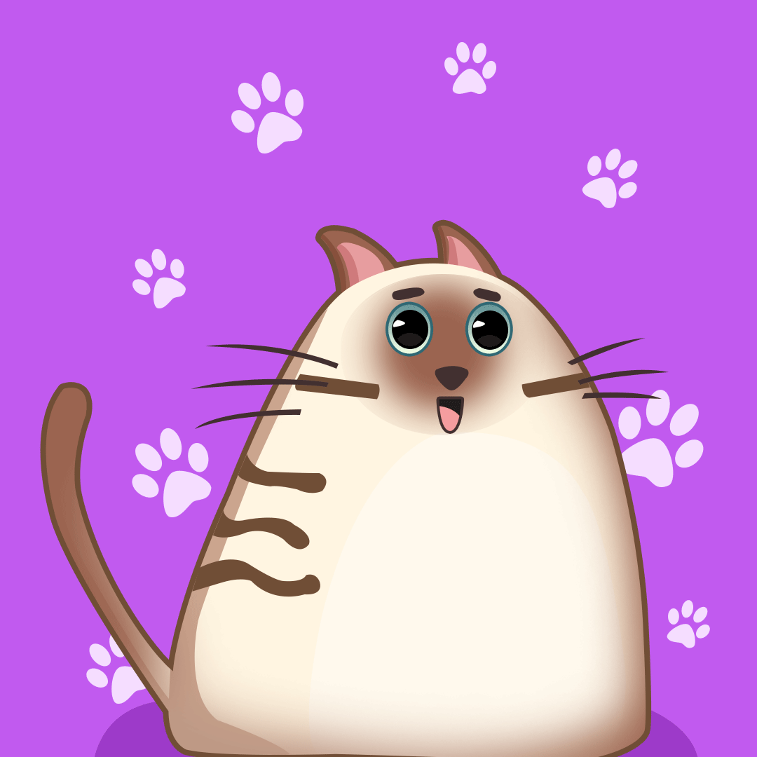 Neko Maru tweet media