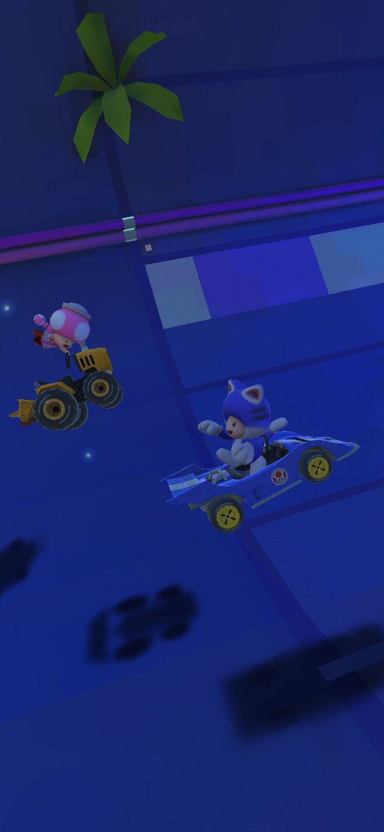 AlvinSa50495218's tweet photo. @mariokarttourEN #MKTPerfectShot #peach #toad #penguintoad #cattoad #toadette #pauline https://t.co/iTAR1Cw7WD