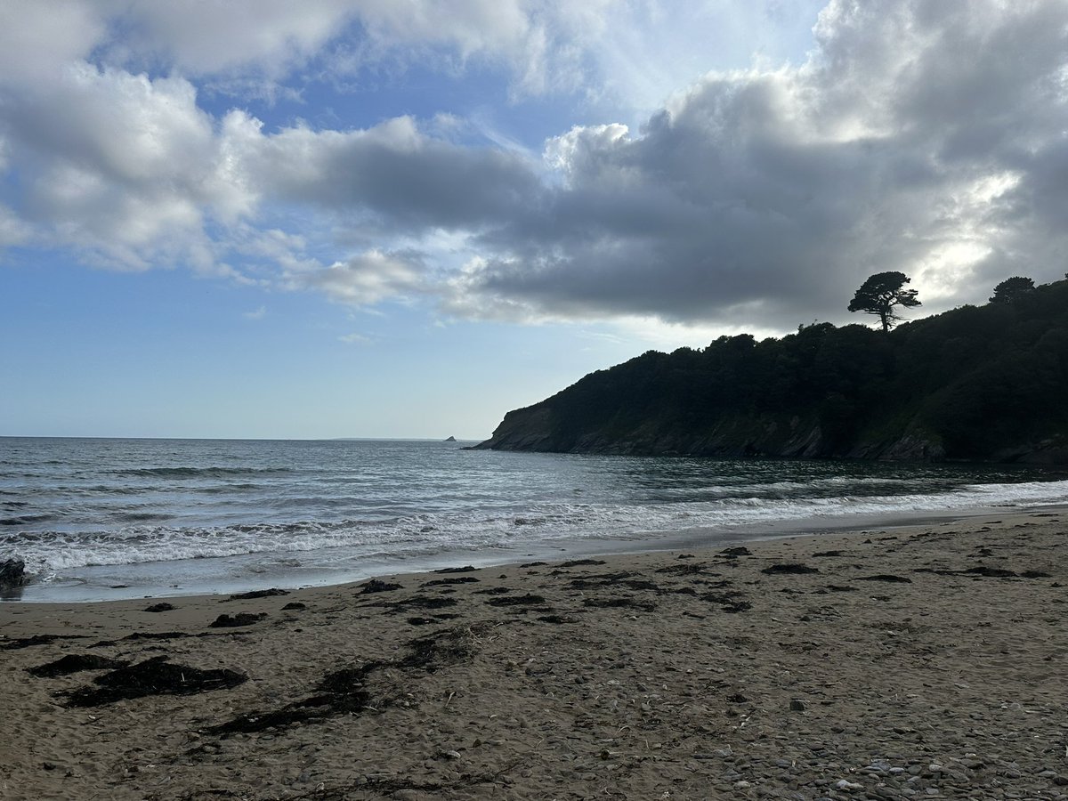 Nick Pritchard tweet media